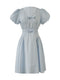 Blue Bow V-neck Mini Dress