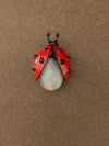 Ladybird Cymophane Brooch
